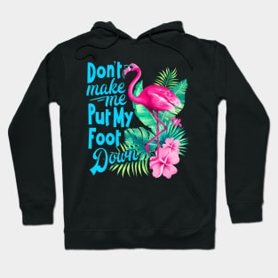 Pink Flamingo Don't Make Me Put My Foot Down Funny Bird Hoodie